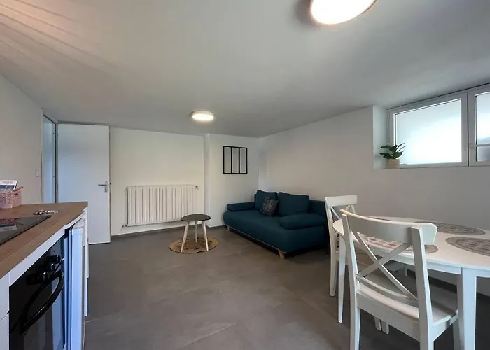 Appartement Vannes Avec Jardin